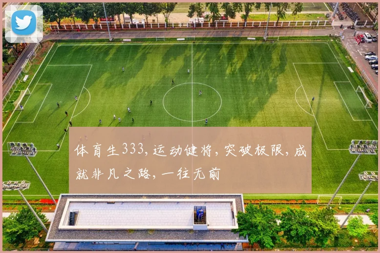 体育生333,运动健将,突破极限,成就非凡之路,一往无前