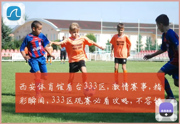 西安体育馆看台333区,激情赛事,精彩瞬间,333区观赛必看攻略,不容错过