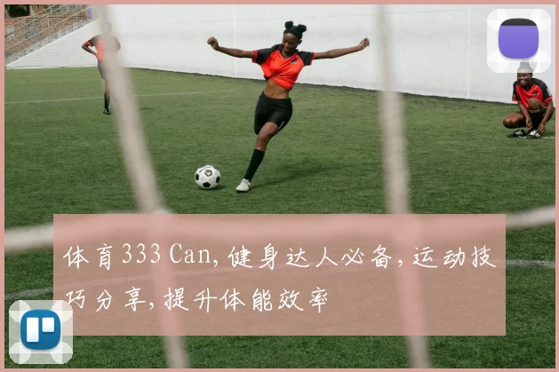 体育333 Can,健身达人必备,运动技巧分享,提升体能效率
